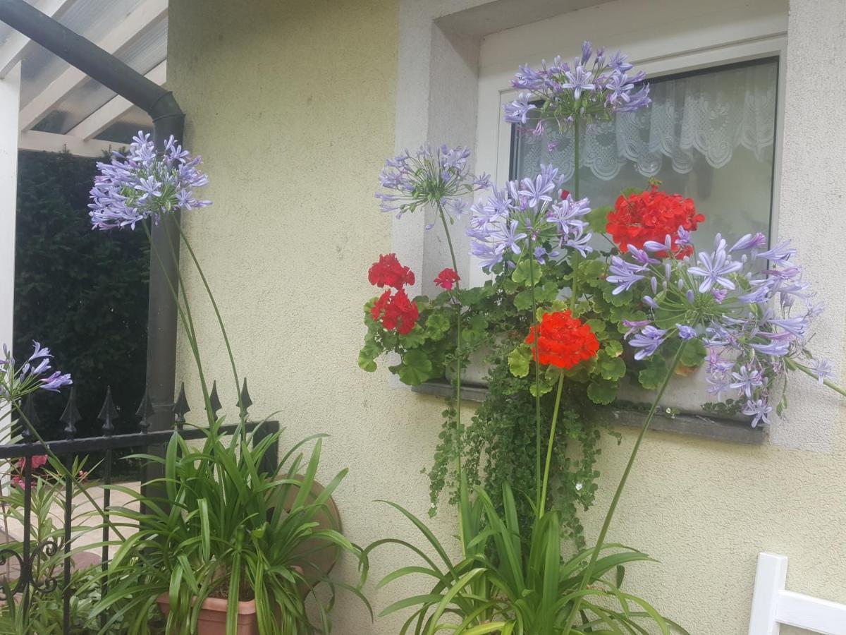 Tavirózsa Apartamento Balatonfůzfő Exterior foto